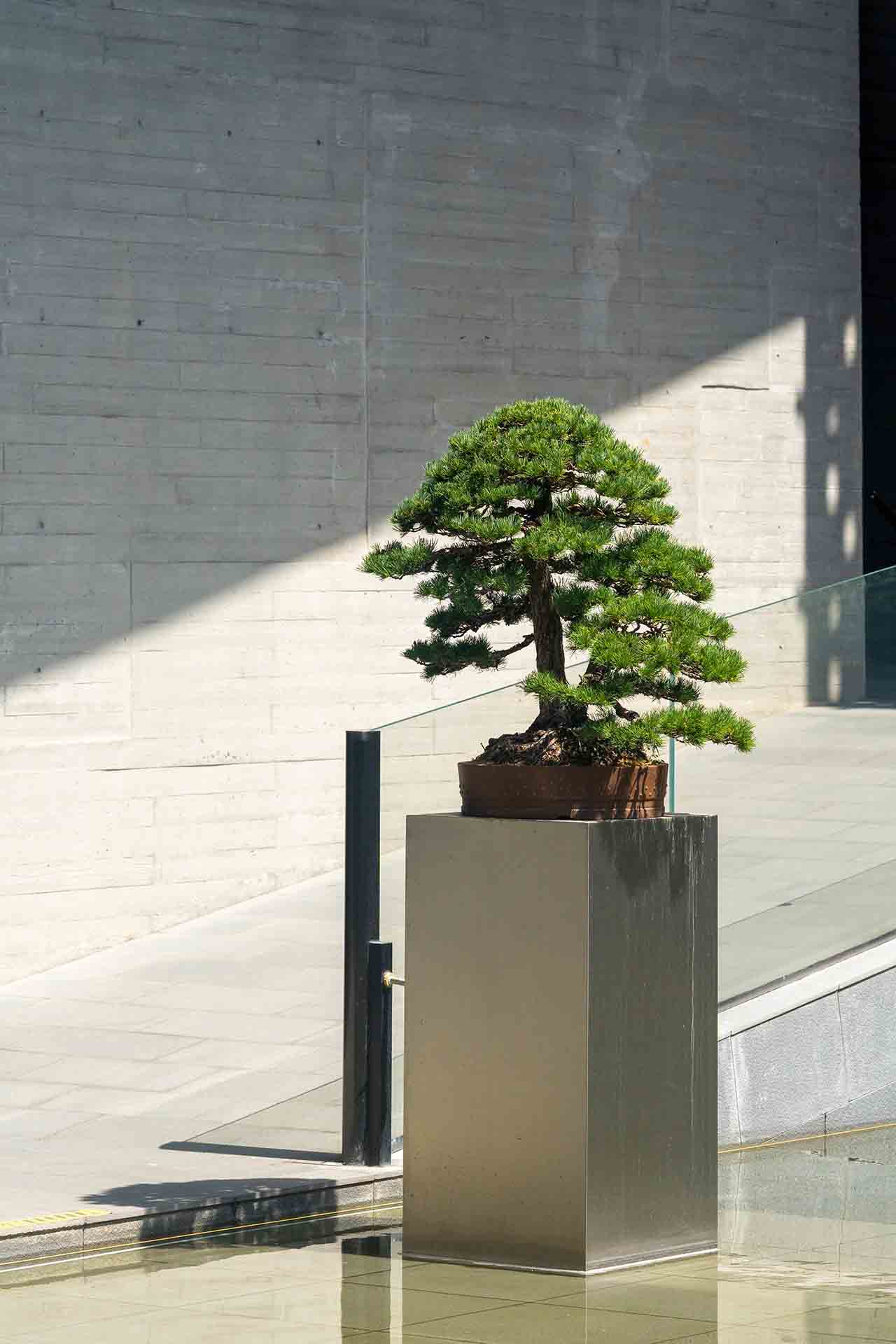 Xi Shi Performance in Zhuji