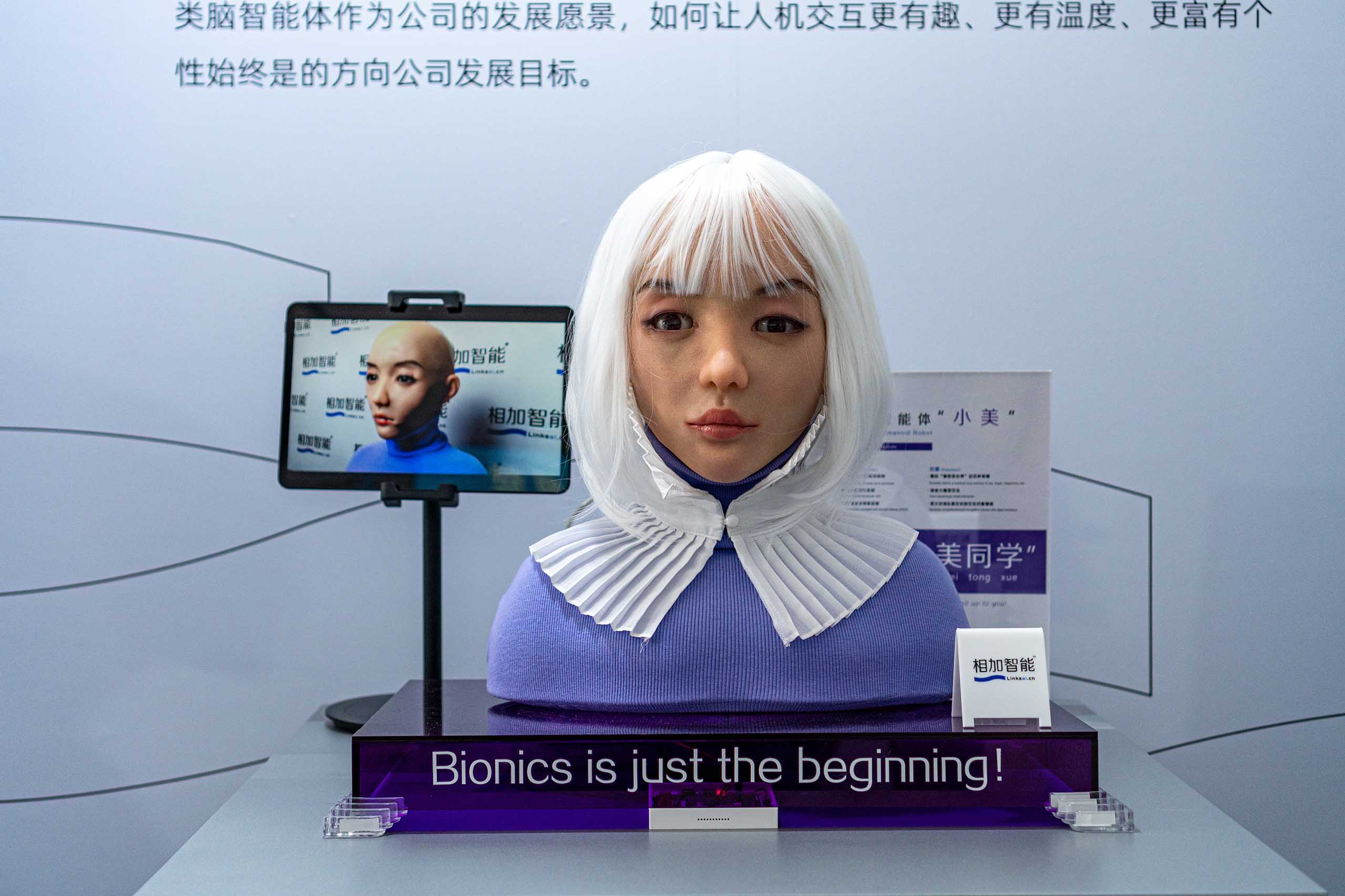 Inclusion Festival 2025