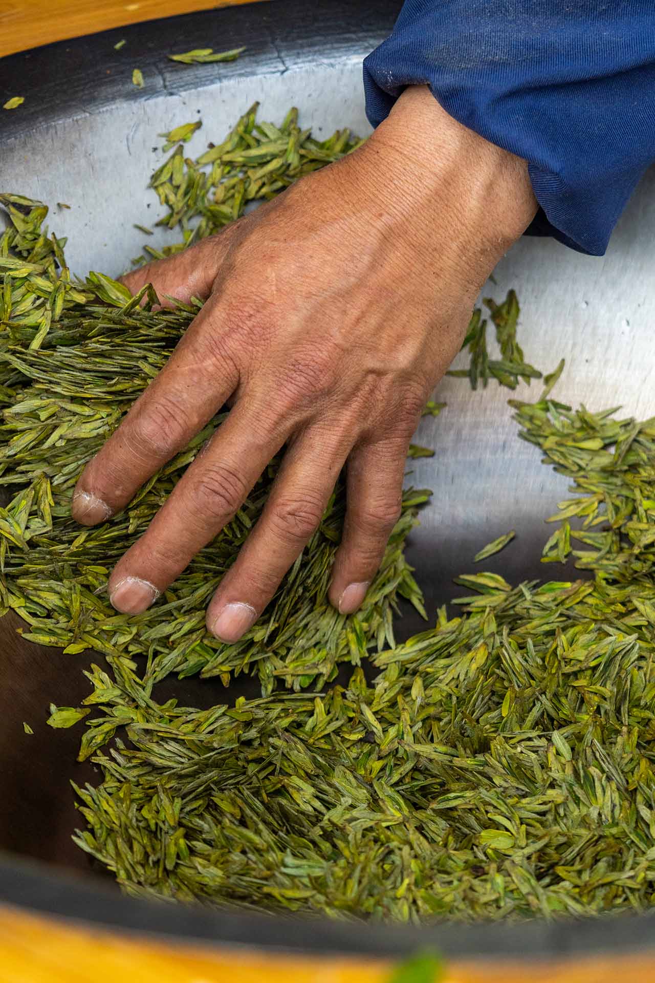 A worker’s hand sorts freshly picked leaves in Meijiawu Town
