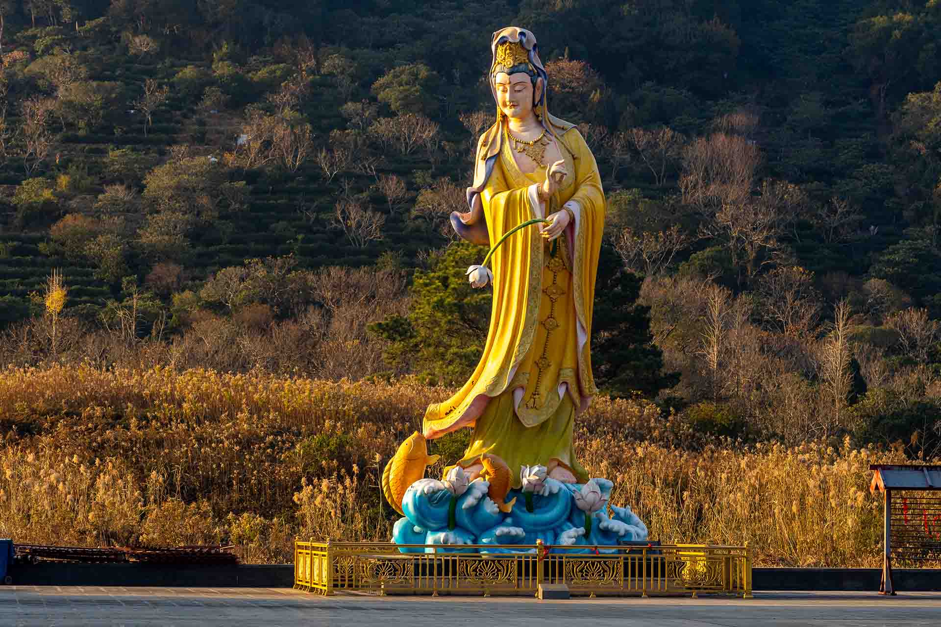 Buddha statue with tea plantations in background